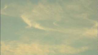 Memory No.1 -- Hammond Gamble