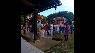 横浜 街山八幡社 個人神輿 #shorts #short