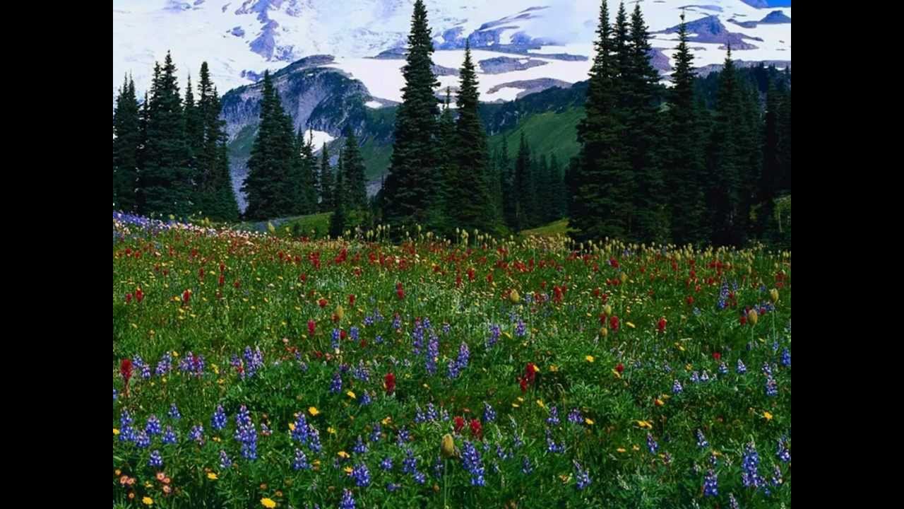 Dhum Dhum Dhim Chik Dhum Lyrics | Ganga Ka Vachan | Udit Narayan | Nikhil Vinay