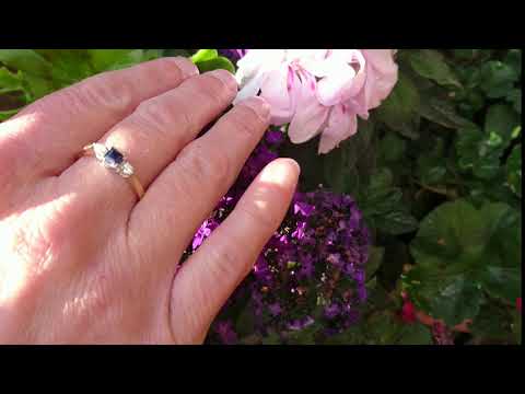 18ct gold sapphire & diamond trilogy ring