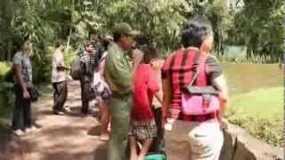 preview picture of video 'Keeper Talk Taman Safari Indonesia II : Orangutan'