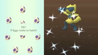 Hatch 9x 10km eggs into shiny riolu in pokemon go