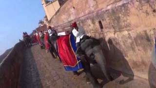 Royal Elephant Ride to The Amer Fort, Jaipur India