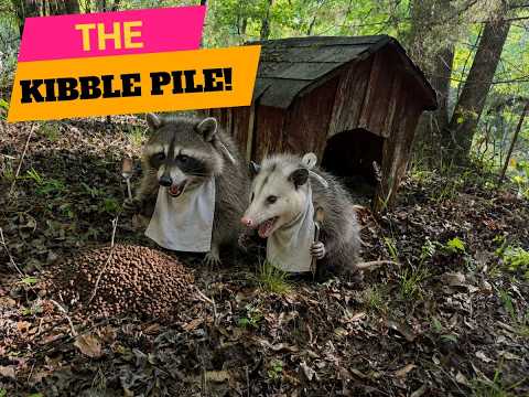The Kibble Pile!