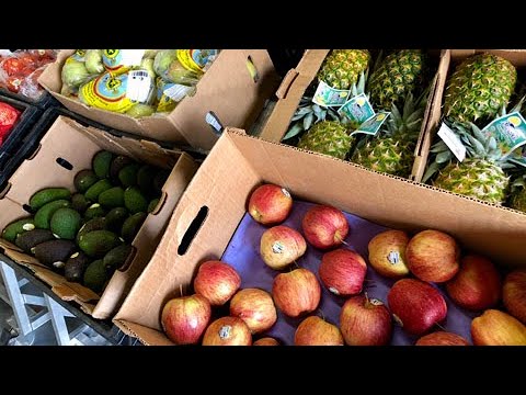 download lagu mp3 mp4 Locally Grown Food Delivery, download lagu Locally Grown Food Delivery gratis, unduh video klip Locally Grown Food Delivery