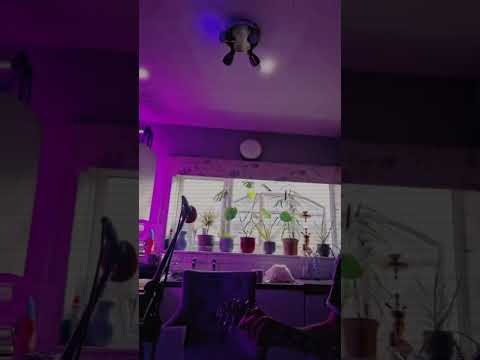 Soundgenarator Live Acoustic Rehearsal With Bebe Brown .