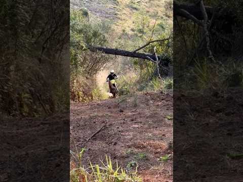 Brasão morro do lixão campina do Simão pr