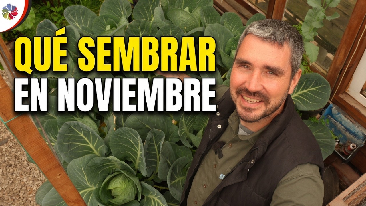 Qué SEMBRAR en NOVIEMBRE: cuidados clave de los plantines | Mini Granja 👨‍🔧