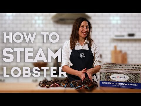 How To Steam Lobster | Maine Lobster Now