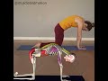 CAT COW POSE Marjaryasana Bitilasana