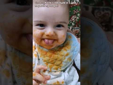 Как папа Колю кормит 😃🐷Первый прикорм в 6 месяцев ☺️