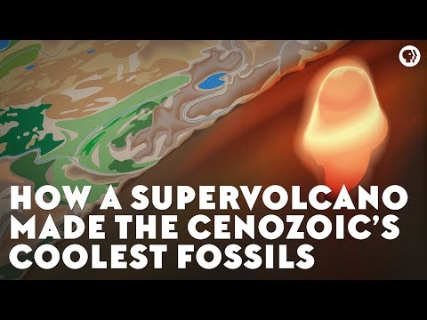 超级火山是如何使新生代最酷的化石形成的（How a Supervolcano Made the Cenozoic’s Coolest Fossils）