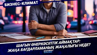 Шағын өнеркәсіптік аймақтар: жаңа бағдарламаның жаңалығы неде?