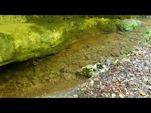 Verenaschlucht Solothurn #1