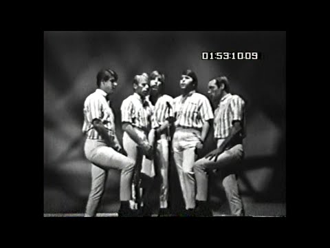 Shindig! 4/21/1965, Ft. The Beach Boys
