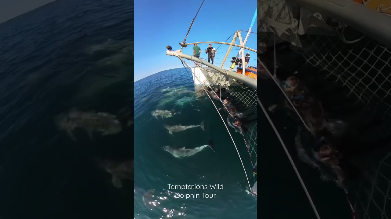 YouTube Short thumbnail