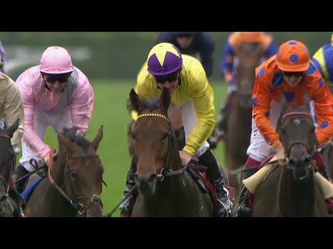 Sea The Stars, Zarkava and Dancing Brave - Matt Chapman's Top 10 Prix de l'Arc de Triomphes