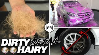 Deep Cleaning a HAIRY Mercedes GLE | Full Interior Exterior Car Detailing Transformation