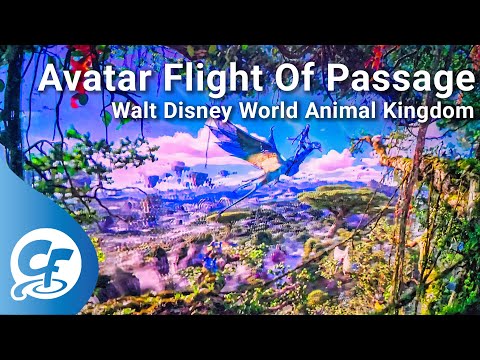 Avatar Flight of Passage 4K POV Walt Disney World Animal Kingdom