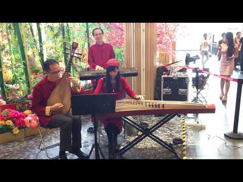 2019 feb 5, CNY 1st day, Chinese Orchestra Music, IPC Shopping Centre, Ikano, 1