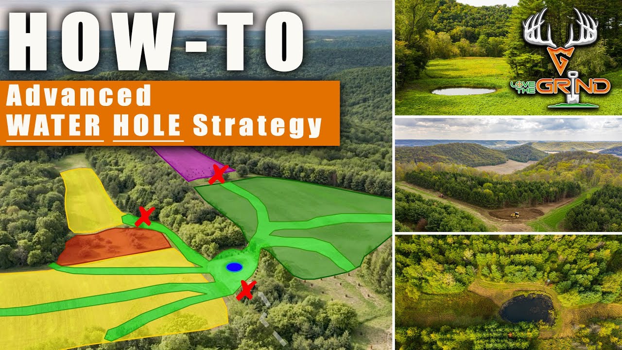 HOW-TO: Advanced WATER HOLE STRATEGY