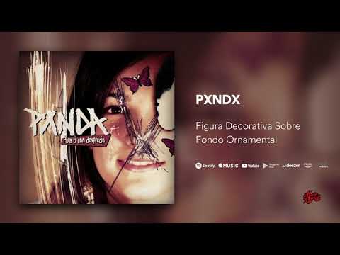 Figura decorativa sobre fondo ornamental - Panda