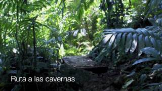 preview picture of video 'Cerro Chango, San Jose Nuevo Río Manso, Jocotepec, Oaxaca HD'