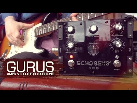 Gurus Echosex 3 - Tube Binson Echorec Delay Pedal image 12