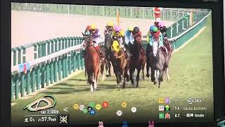 【フリーター競馬実況】2025 阪神大賞典 サンライズアース（池添謙一）