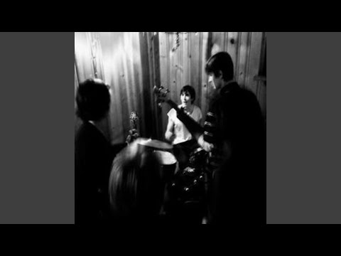 Mystery Machine - Skin Cells