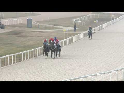 2021.11.14. 01. futam - KÖTELES BERTALAN EMLÉKVERSENY - BEVEZETŐSZÍJ HENDIKEP (IV.o.) (szint. p.)