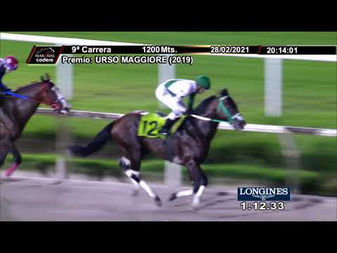 210228 c09 HEY SEATTLE