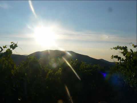 Fenice fu "I was phoenix" - Jacobo da Bologna