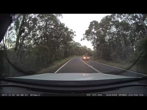 Fox eating roadkill on Henry Lawson Dr - 07 Nov 2019