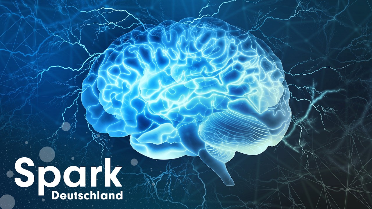 Gehirn-Evolution: Was Forscher gerade entdecken