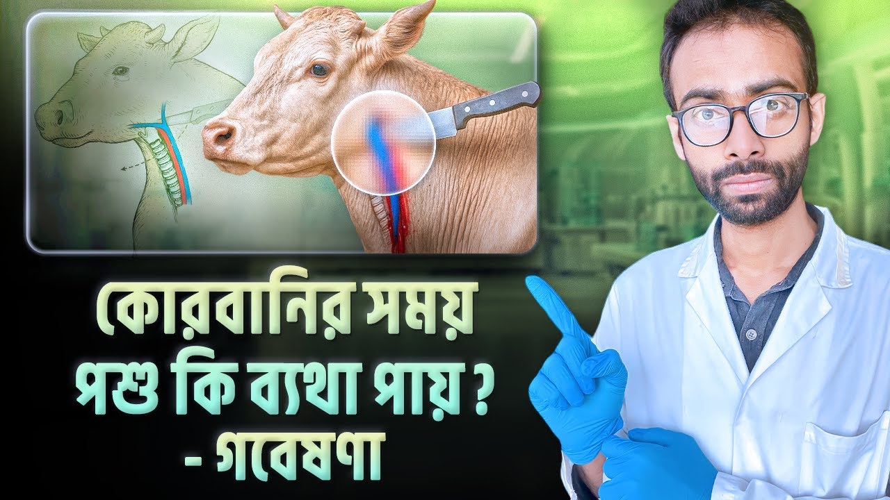 কুরবানির মাংস সংরক্ষণের বৈজ্ঞানিক উপায়