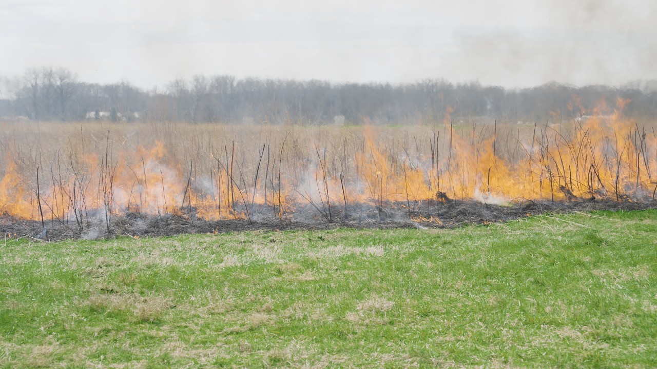 Wright-Patterson Air Force Base Prescribed Burn