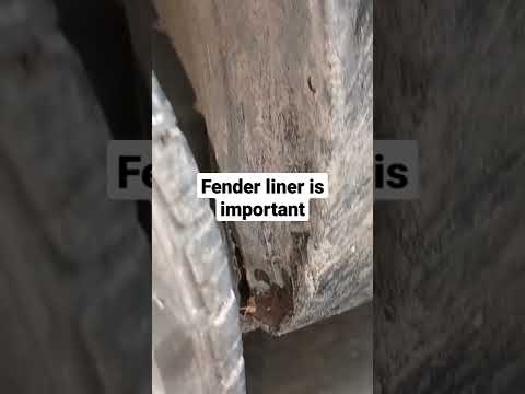 Fender liner is important #shorts