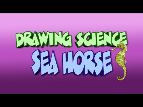 Drawing Science: Sea Horse How to draw a seahorse