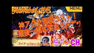 白猫プロジェクトライブ配信(協力、雑談)