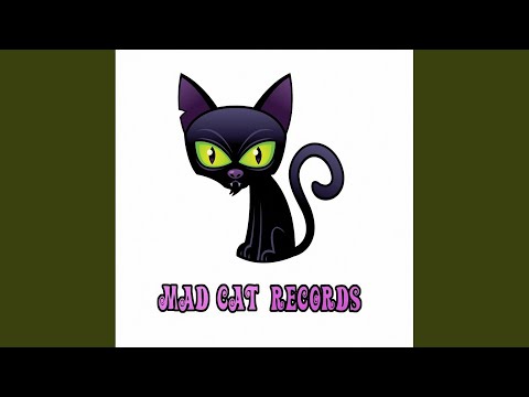 Never Surrender (Original Mix)