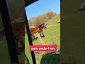 Tiktok Moldova