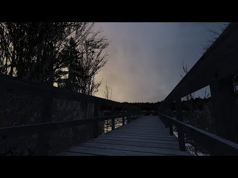 vertigo - insensible - Extended version