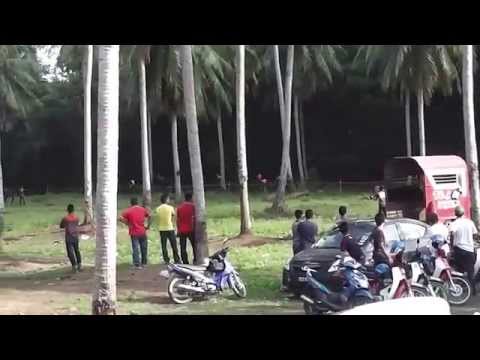 Akhir Kuda PADI A - 30 Jan 2015@Trek Lacor, PCB