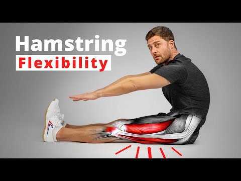 The Science of Hamstring Flexibility – Anatomy & Training Techniques