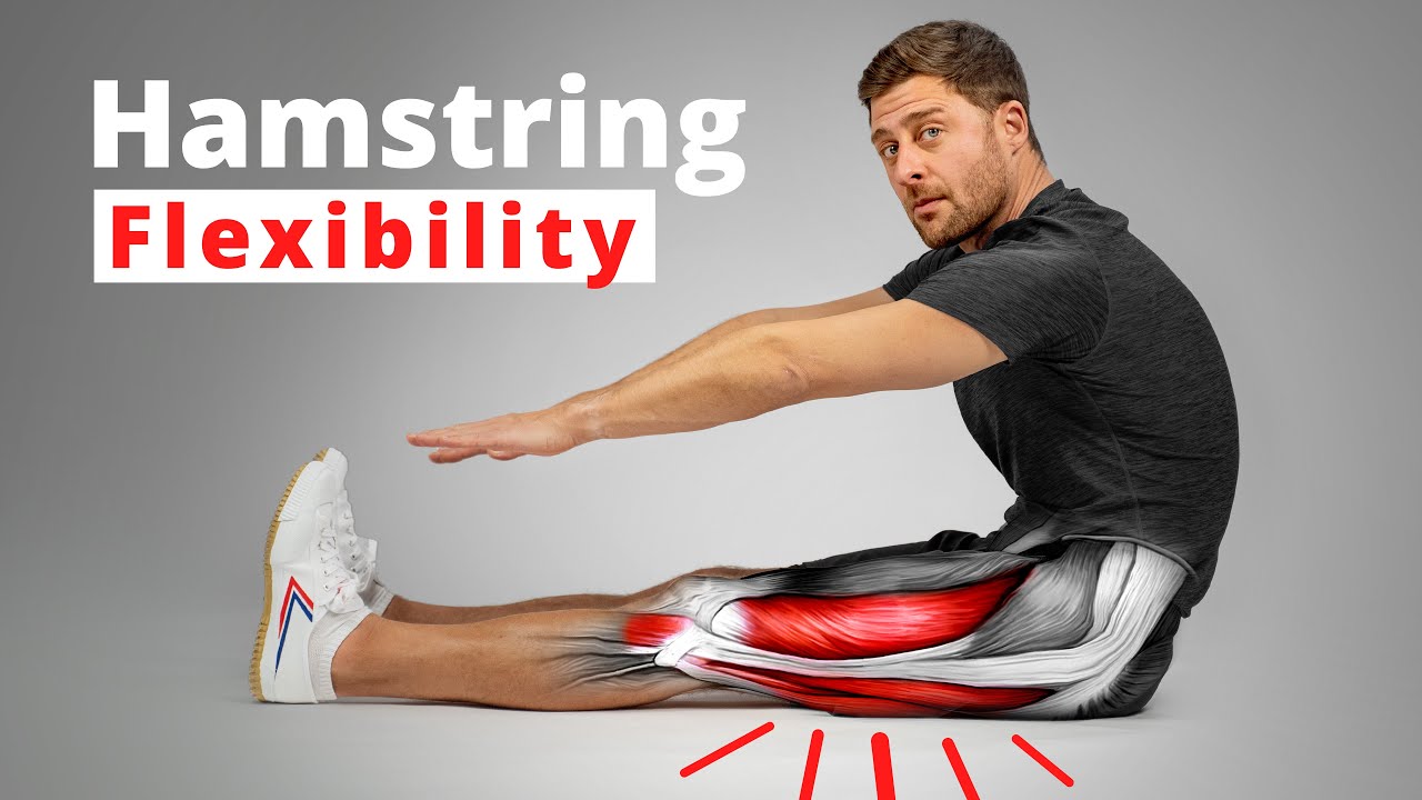 The Science of Hamstring Flexibility – Anatomy & Training Techniques