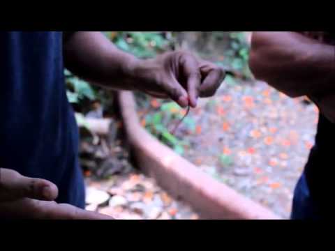 Reband by Arnel Renegado