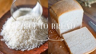 Rice to Bread // How to make bread out of RICE !