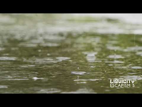 Hiraeth - Distant Lovers (ft. Siege MC)