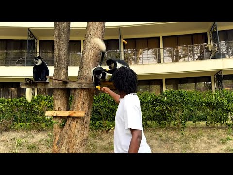 NINJARACY E.T. - BEBERU TALK (Official Music Video)